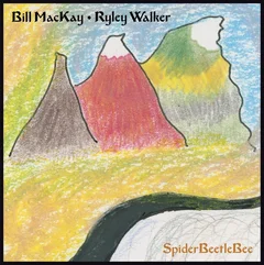 Bill MacKay &amp; Ryley Walker SpiderBeetleBee (LP)
