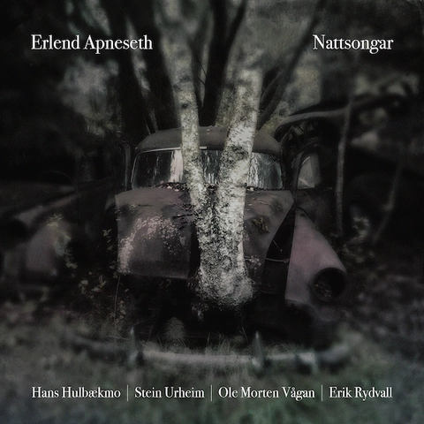 Erlend Apneseth Trio Nattsongar (LP) 