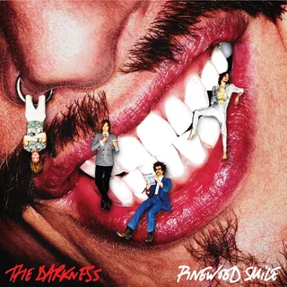 The Darkness Pinewood Smile (LP)