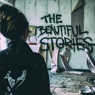 INVSN Beautiful Stories (LP)