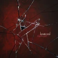 Lunatic Soul Fractured (2LP)