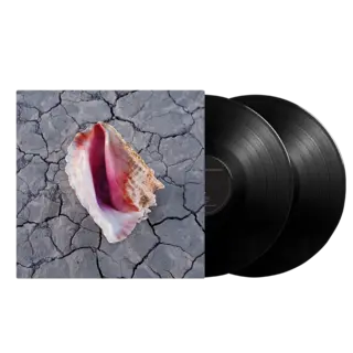 The Killers Wonderful Wonderful (2LP)