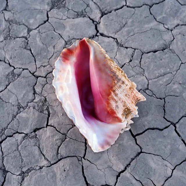 The Killers Wonderful Wonderful (2LP) 