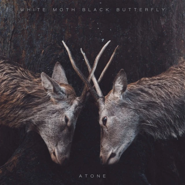 White Moth Black Butterfly Atone (LP) 
