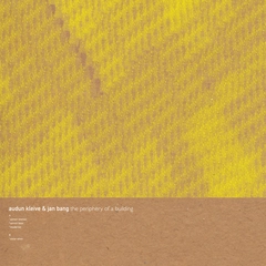 Audun Kleive / Jan Bang The Periphery of a Building (LP)