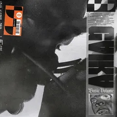 Gaika Basic Volume (2LP)