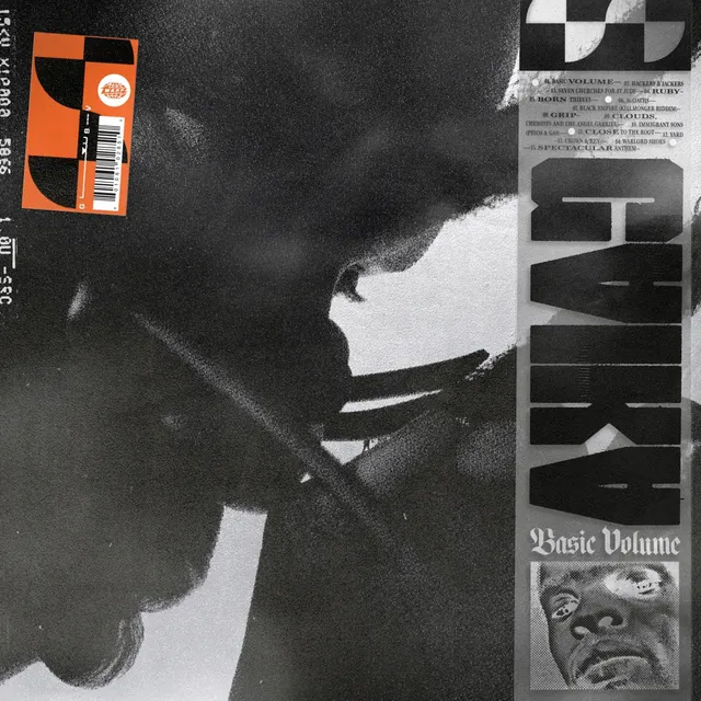 Gaika Basic Volume (2LP) 