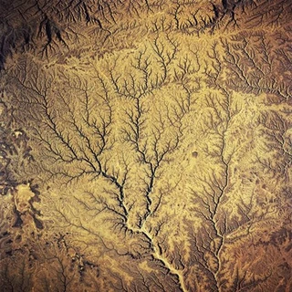 Diverse Artister Peter Gabriel's Passion - Sources (LP)