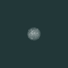 Magnus Bugge Iteration (LP)