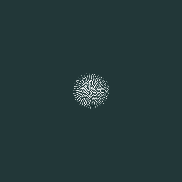Magnus Bugge Iteration (LP) 