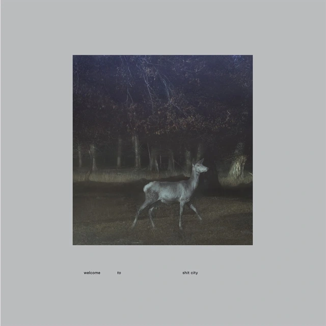 Shit City Welcome To Shit City (LP) 