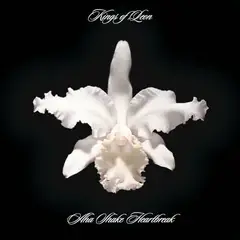 Kings Of Leon Aha Shake Heartbreak (2LP)