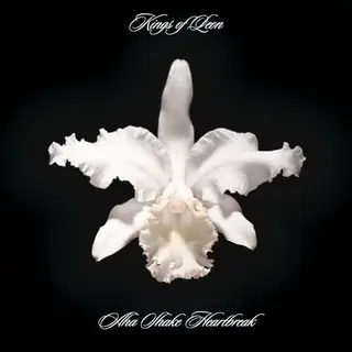 Kings Of Leon Aha Shake Heartbreak (2LP)