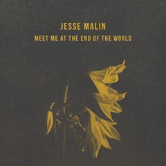 Jesse Malin Meet Me At The End Of The World (LP)