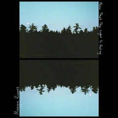 Maggie Rogers Now That The Light Is Fading (LP)