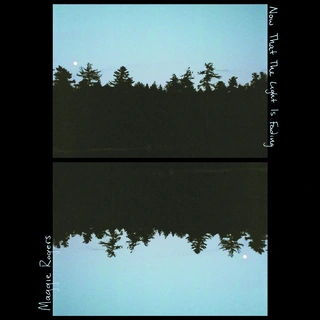 Maggie Rogers Now That The Light Is Fading (LP)