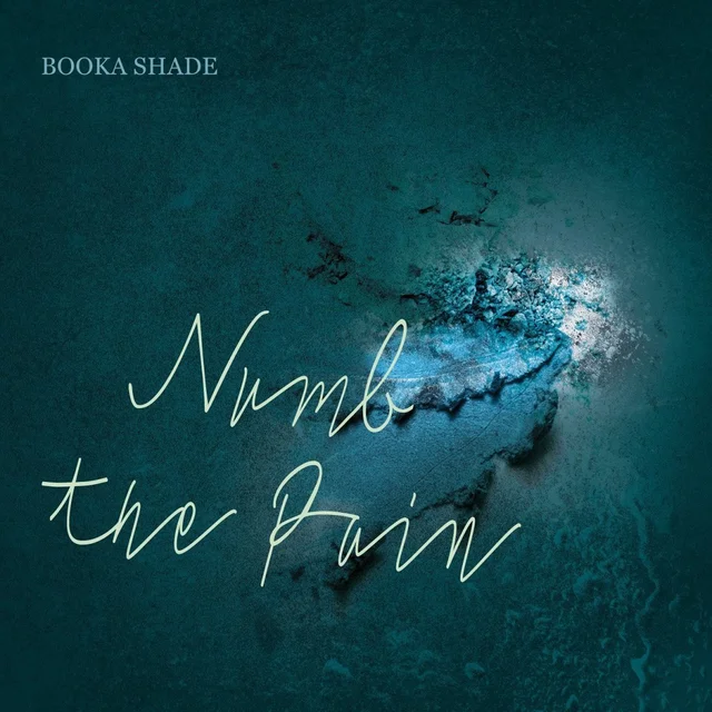 Booka Shade Numb The Pain (LP) 