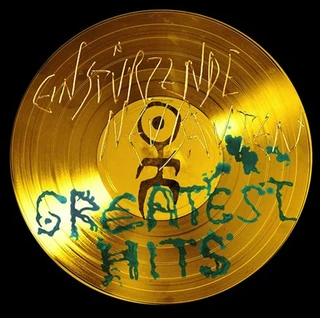 Einsturzende Neubauten Greatest Hits (2LP)