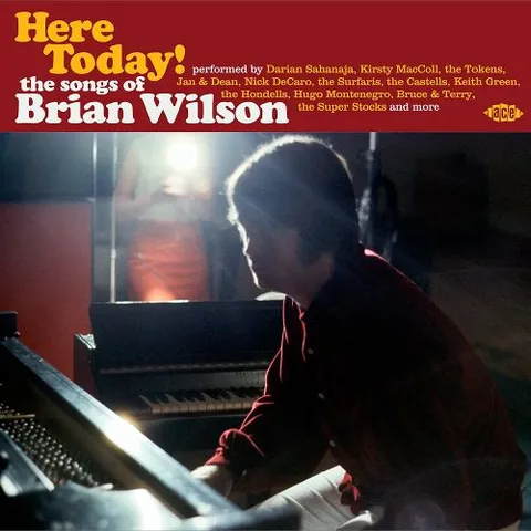 Diverse artister Here Today! Songs Of Brian Wilson (LP) 