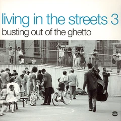 Diverse artister Living In The Streets Vol. 3 (2LP)