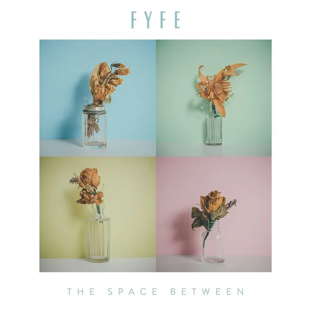 Fyfe The Space Between (LP) 