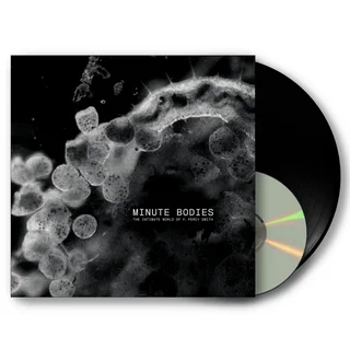 Tindersticks Minute Bodies: The Intimate... (LP+DVD)