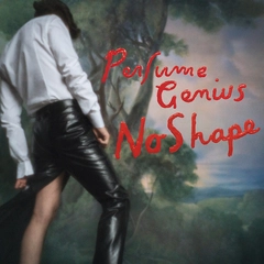 Perfume Genius No Shape (2LP)