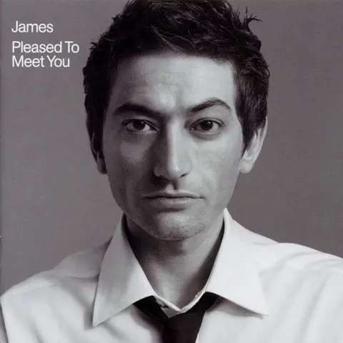 James Pleased To Meet You (2LP) 