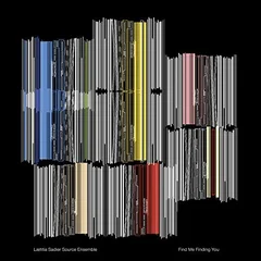 Laetitia Sadier Source Ensemble Find Me Finding You (LP)