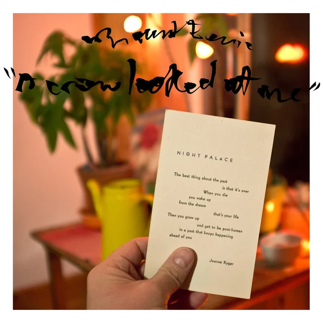 Mount Eerie A Crow Looked At Me (LP) 