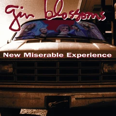 Gin Blossoms New Miserable Experience (LP)