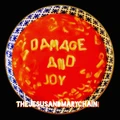 The Jesus And Mary Chain Damage And Joy (LP)