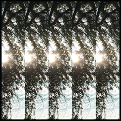 Pontiak Dialectic of Ignorance (LP)