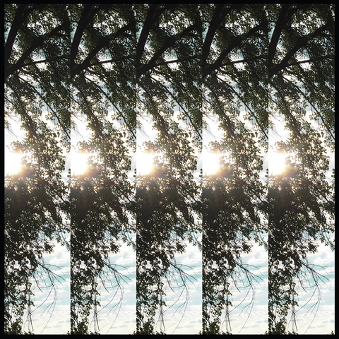 Pontiak Dialectic of Ignorance (LP) 