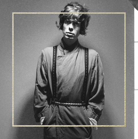 Fionn Regan The Meetings of the Waters (LP) 