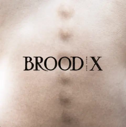 Boss Hog Brood X (LP) 
