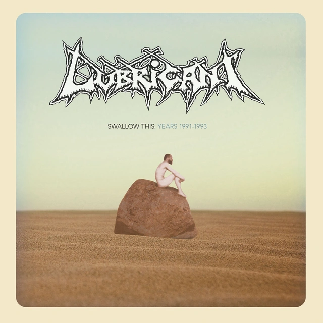 Lubricant Swallow This (LP) 