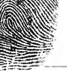 Agnes Hvizdalek Index (LP)