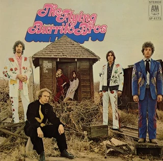 The Flying Burrito Brothers The Gilded Palace Of Sin (LP)