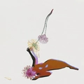 Future Islands The Far Field (LP)