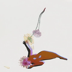 Future Islands The Far Field (LP)