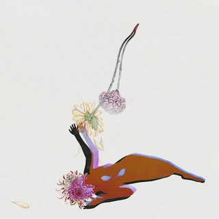 Future Islands The Far Field (LP)