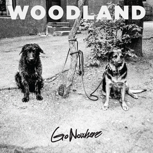 Woodland Go Nowhere (LP-LTD) 