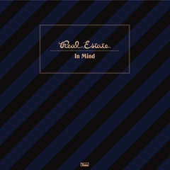 Real Estate In Mind (LP)