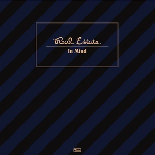 Real Estate In Mind (LP)