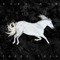 Dool Here Now, There Then (LP)