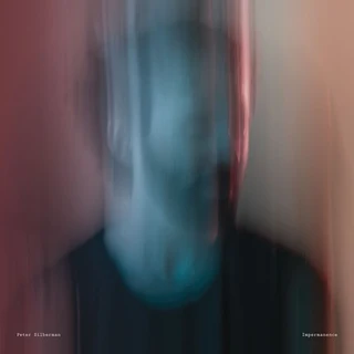 Peter Silberman Impermanence (LP) 