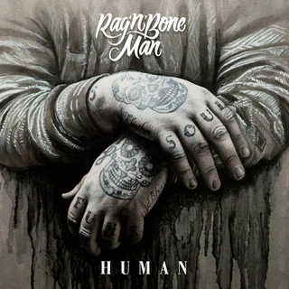Rag'N'Bone Man Human (2LP)