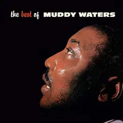 Muddy Waters The Best Of Muddy Waters - LTD (LP)