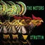 The Meters Struttin' (CD)